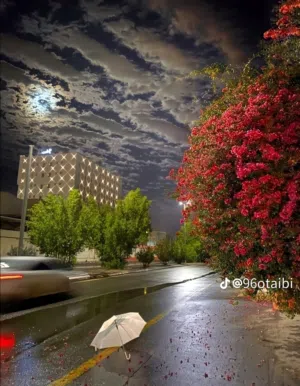 فارس السبعاوي 