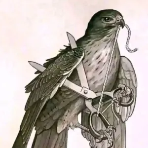 يوسف محمود واصف حليمه 