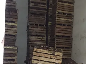 300 m2 . Landlord0