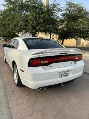 دوج جرجر ارتي فل كامل نظيفة للبيع