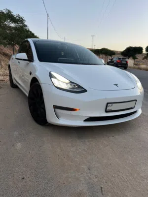 Tesla model3 2019