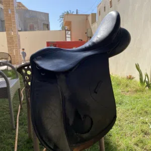 زوز سيلات للبيع