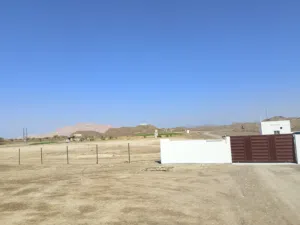 Farm Land for Rent in Al Dakhiliya Nizwa