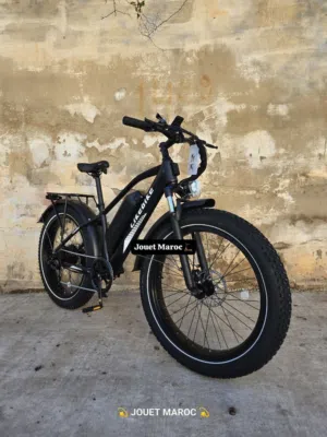 VÉLO ÉLECTRIQUE LIKEBIKE LANDER