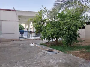 منزال للبيع