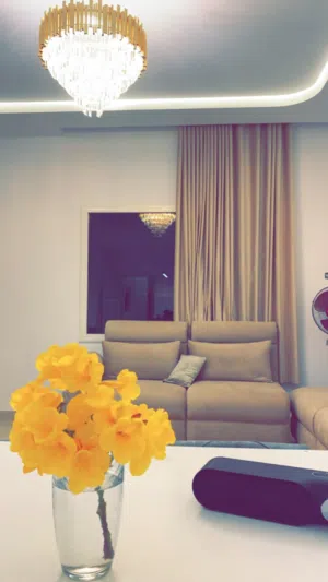فيلا شارع الشجر