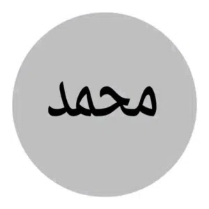 محمد الرطب 