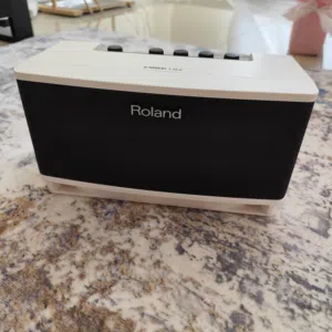 Roland Cube Lite