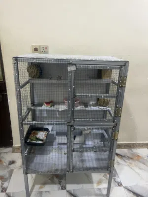 فناجس اثنين نثيه وذكر