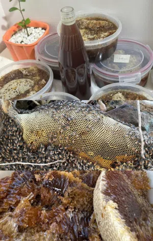 عسل جبال وادي الحواسنة