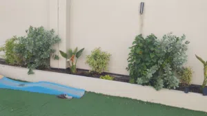 garden working
