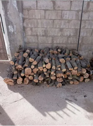 حطب زيتون و لوز للبيع ناشف و مقطع جاهز للصوبه قرامي و زنود سعر الطن 70