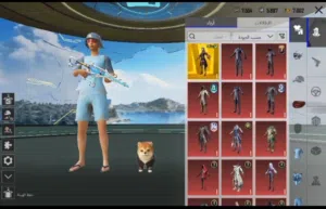 Pubg Accounts and Characters for Sale in Amman