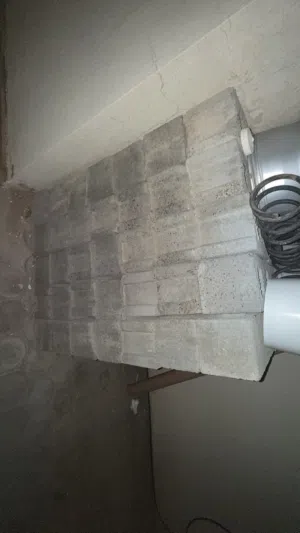 100حبة طابوق للبيع