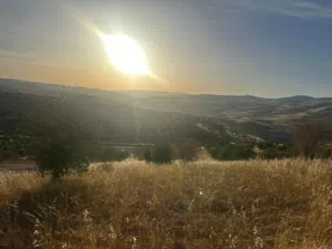 Farm Land for Sale in Zarqa Al-Alouk