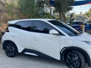 2024Bydسيجال