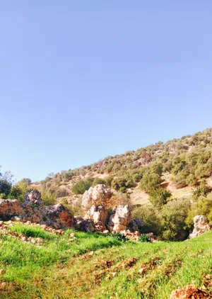 Farm Land for Sale in Ajloun Kuforanja
