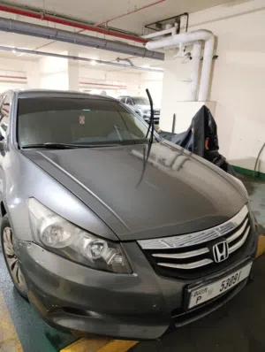 Used Honda Accord in Ajman