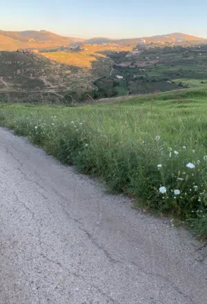 ارض في جلعد السلط مميزه بسعر مناسب جدا