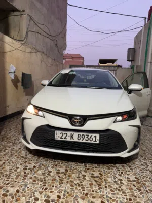 كورلا موديل 24