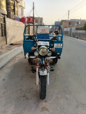 ستوته كربلائي  مديل 23 كفاله عامه اقرا  الوصف