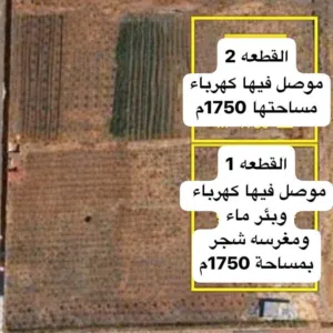 قطعة ارض في الطلحية شارع الغاز