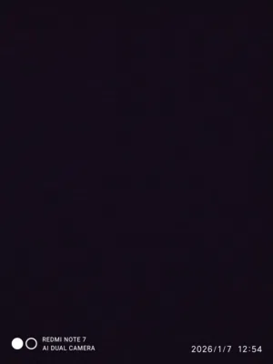 رافت احمد موسى حماد 