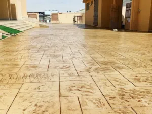 صبة مطبوعة صبة نظافة مروحة