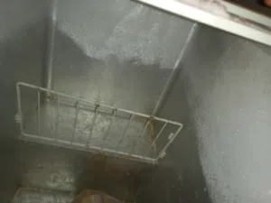 مجمده بحاله جيده