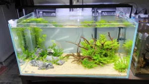 حوض سمك كامل اجنبي كريستال 90*45*45