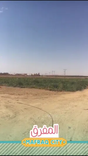 Residential Land for Sale in Mafraq Al-Dafyana