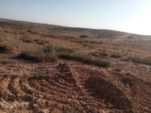 Mixed Use Land for Sale in Al Khums Other