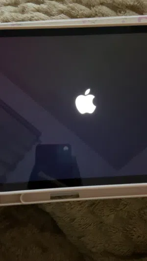 Apple iPad 9 256 GB in Amman