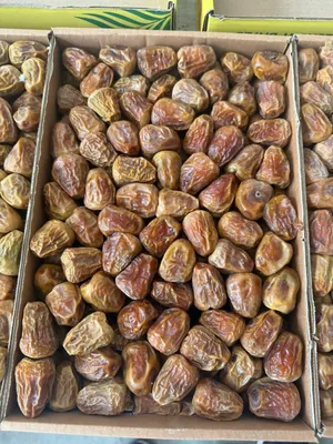 Dates1