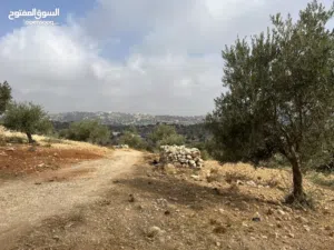 Residential Land for Sale in Amman Badr Jdedeh