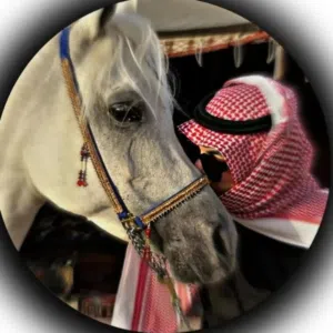 ابو حسين  علي 