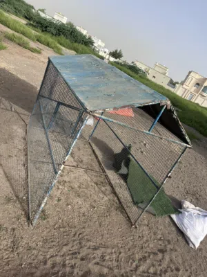 قفص للدجاج