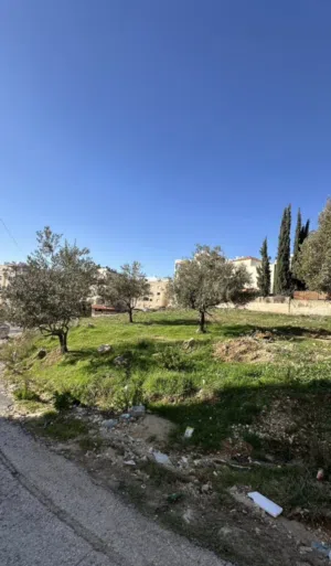 Residential Land for Sale in Amman Marj El Hamam