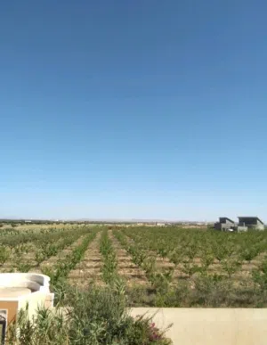 Residential Land for Sale in Al Khums Other