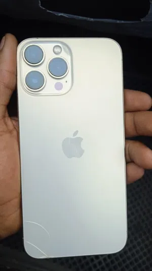 Apple iPhone 13 Pro Max 256 GB in Sabha