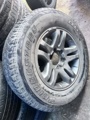 ديسكوا سيكويا بالاطار