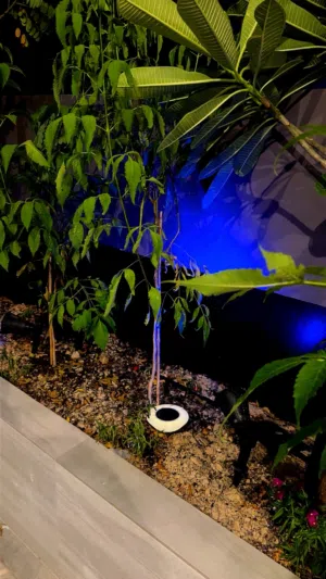 Solar Light 10-12 Pcs