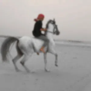 محمد المعمري 