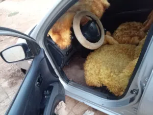 Used Hyundai i10 in Khartoum