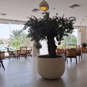 Mohammed Fares Alwahshi 