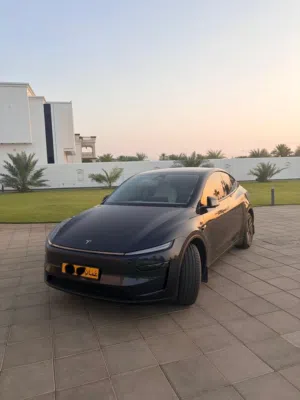 Tesla model Y 2025 long range AWD