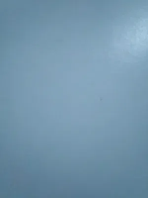 صهيب أبونوره 