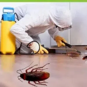pest control Bahrain 