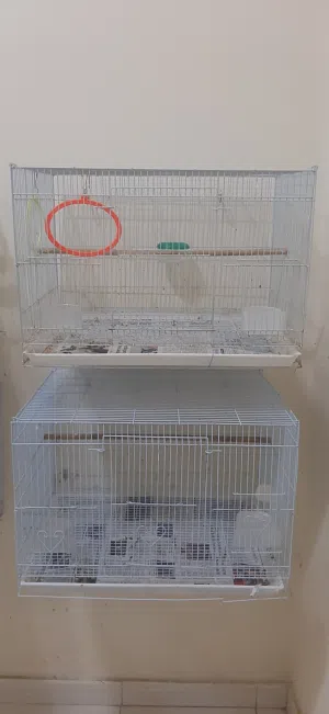 Lovebird CAGE