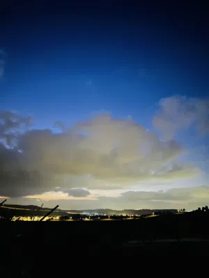 Aseel Omar Ahmad Baradiyyah 